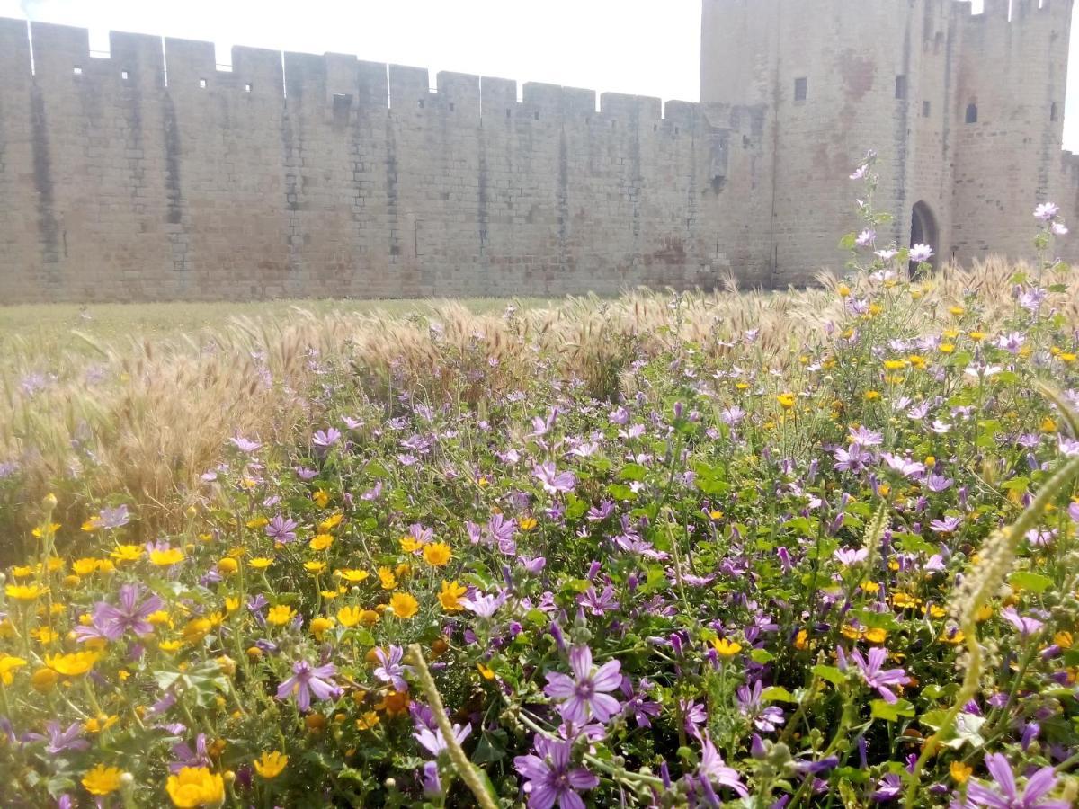 La Maison Perchee Aigues-Mortes Esterno foto